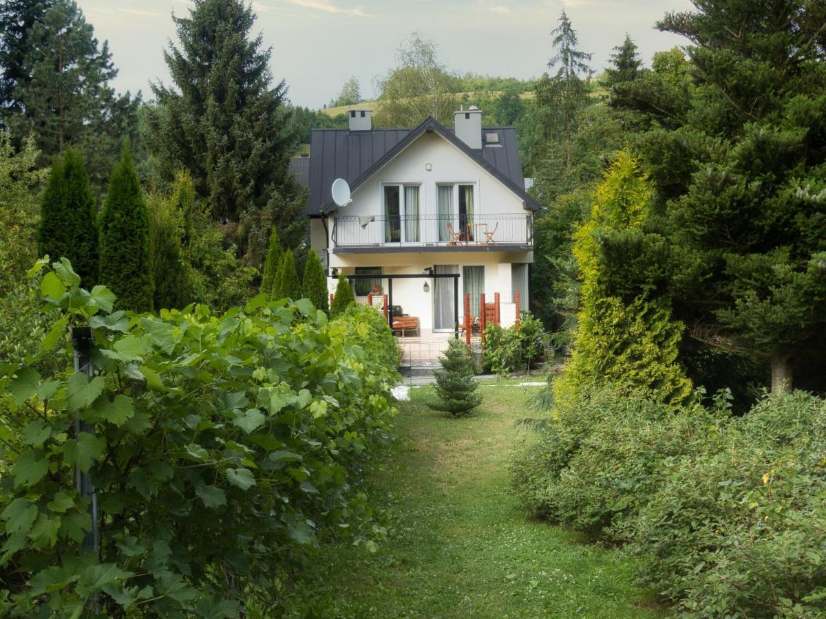 Villa Hasaba Krościenko Eksteriør billede